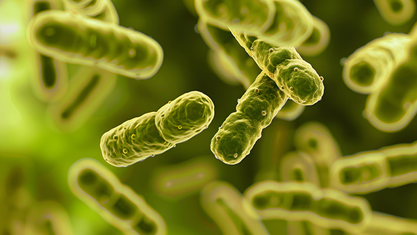 Cover image for Omnix Medical